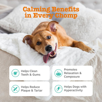 Zesty Paws Calming Orastix for Dogs - Dental Sticks for Stress and Anxiety Relief with Hemp Melatonin Chamomile Dog Tartar Teeth Cleaning Calm Composure for Fireworks and Thunderstorms
